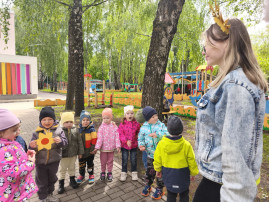 Цветочный квест в младшей группе № 8 Цветочный квест в младшей группе № 8.